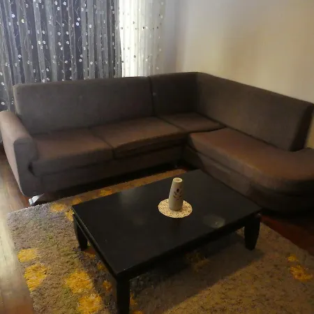 3+1 Merkez Denize 50 Mt.daire *